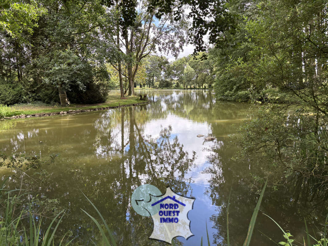 Terrain de loisirs avec plan d'eau - photo 10