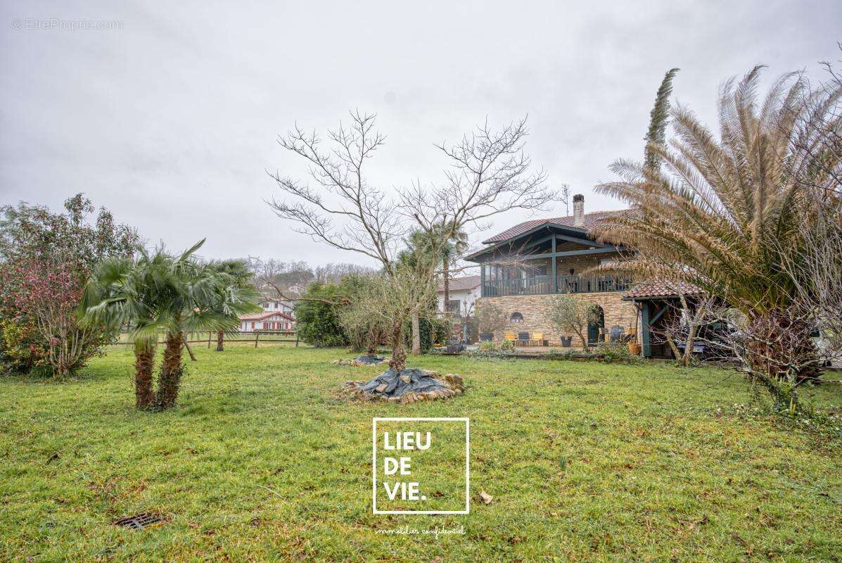 Appartement à ASCAIN