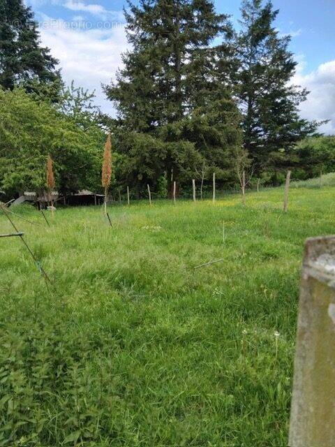 Terrain à CHEILLE