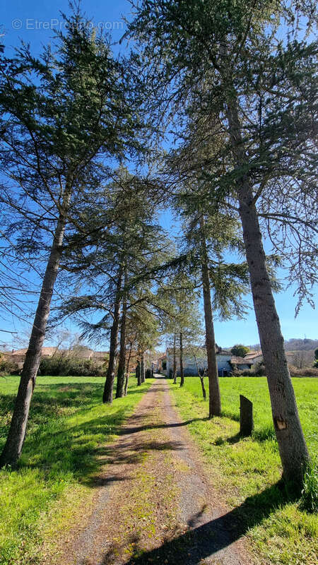 Maison à L'ISLE-EN-DODON