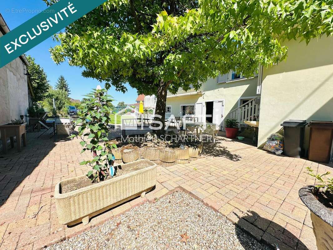 Photo 2 - Maison à CARSPACH