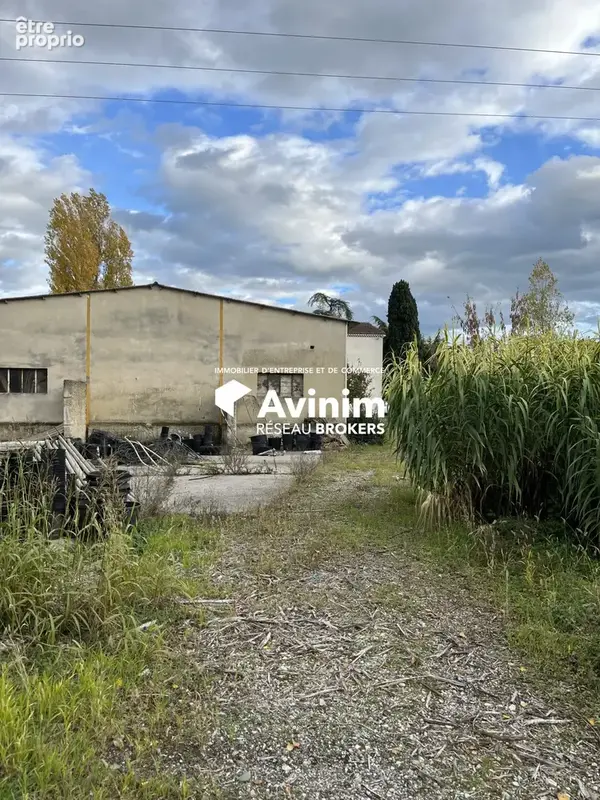 Commerce 932 m² à vendre à Livron-Sur-Drome (26250) - photo 5