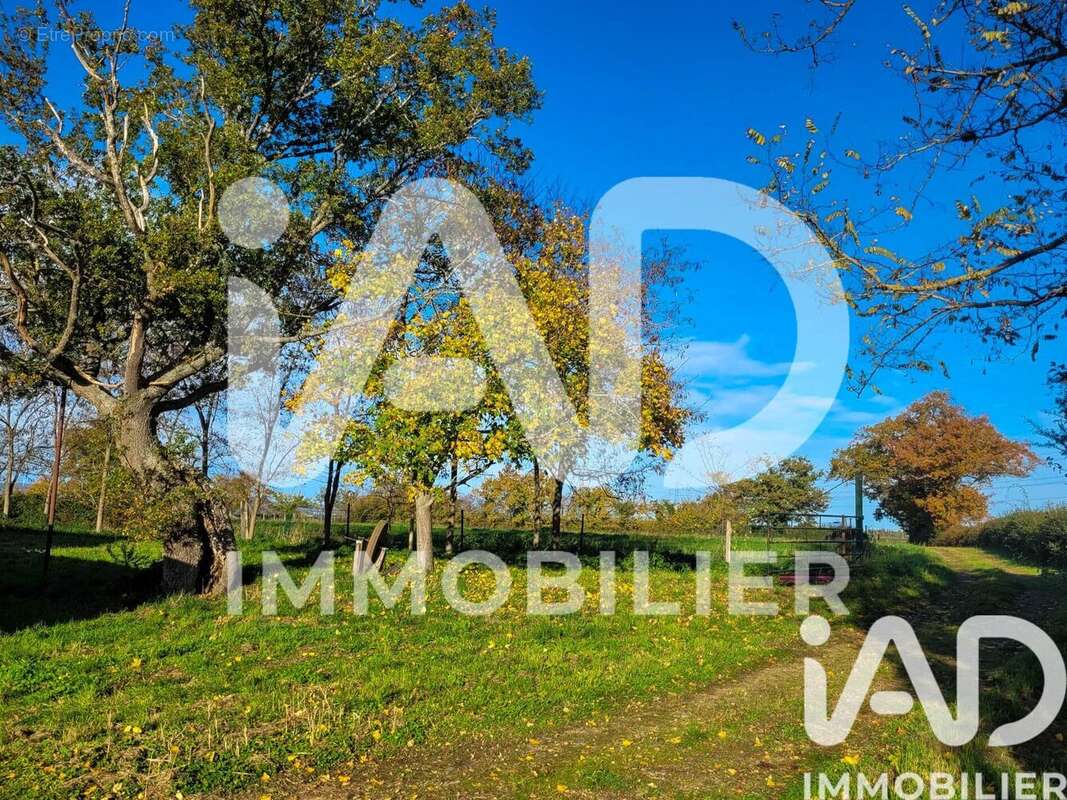 Maison 317 m² à Neris-Les-Bains  - photo 7