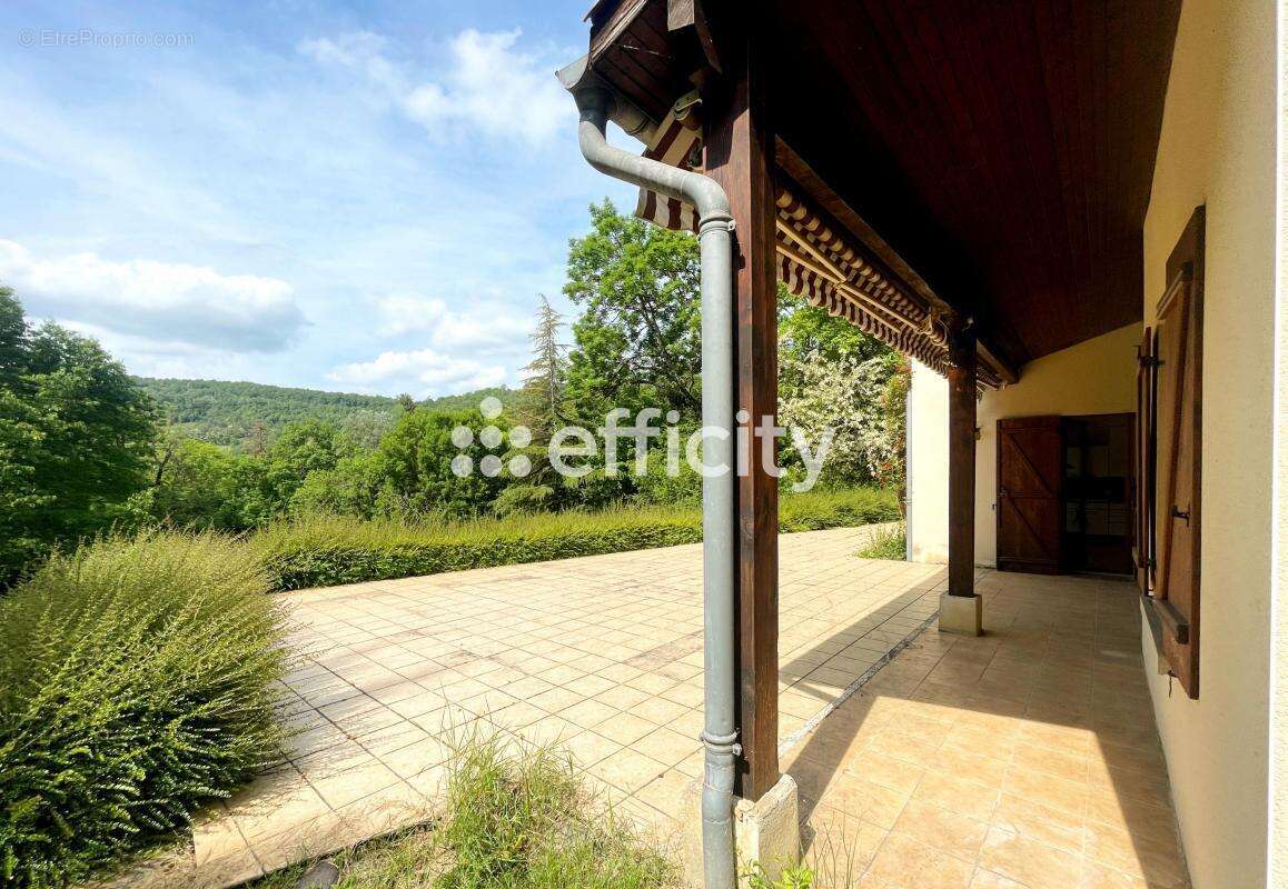 Maison 225 m² à Le Mas-D'azil  - photo 3