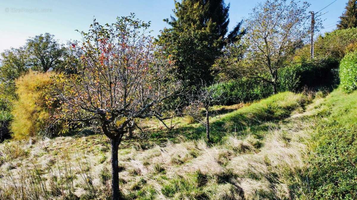 Terrain à LA MURETTE
