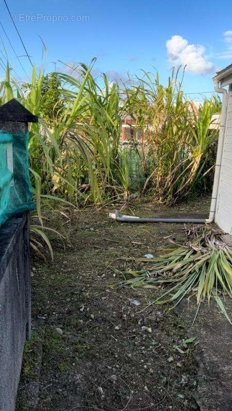 Maison à MORNE-A-L'EAU