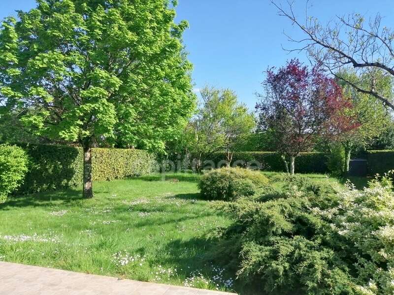 Maison à SAINT-CYR-SUR-LOIRE