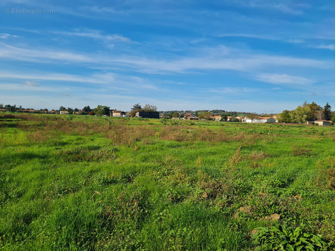 Terrain à MARMANDE