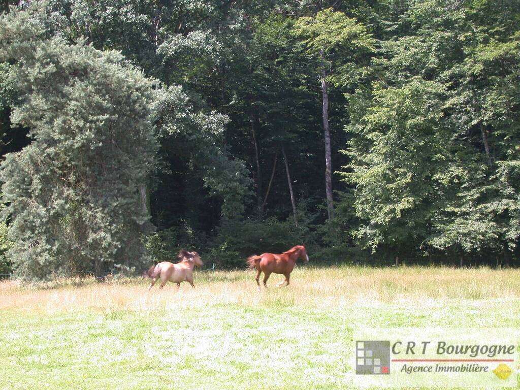 Maison à MOULINS-SUR-OUANNE