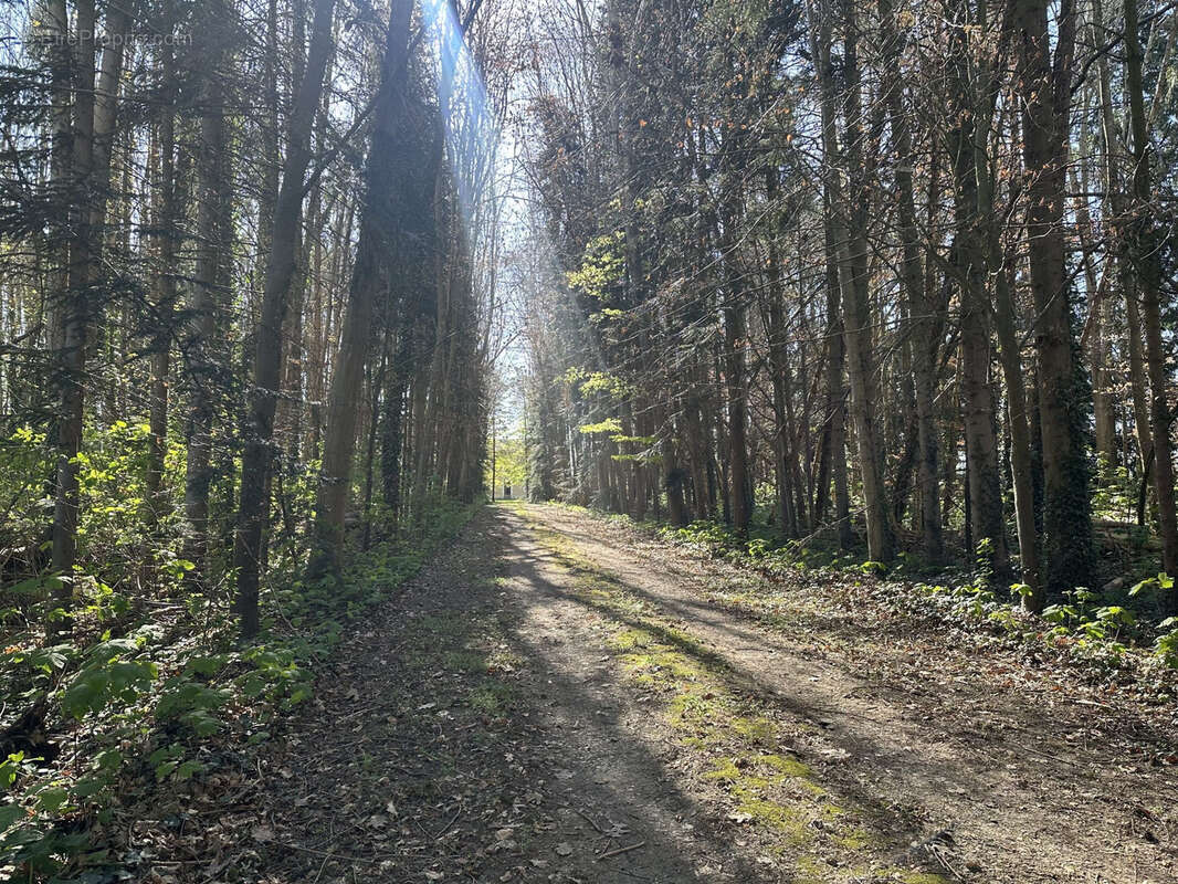 Maison de campagne sur 1,5 ha ! - photo 6