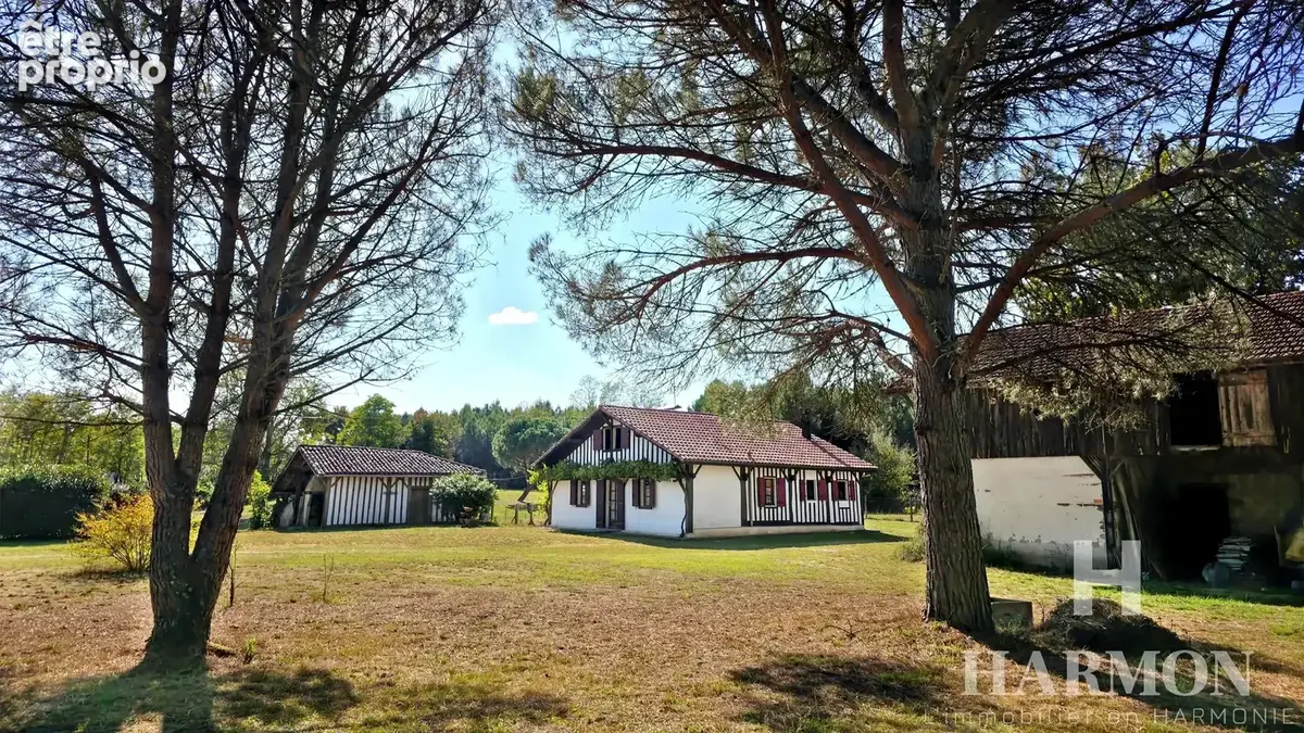 Maison landaise à colombages – Grand airial de plus de 8 000 m² et nombreuses dépendances - photo 2