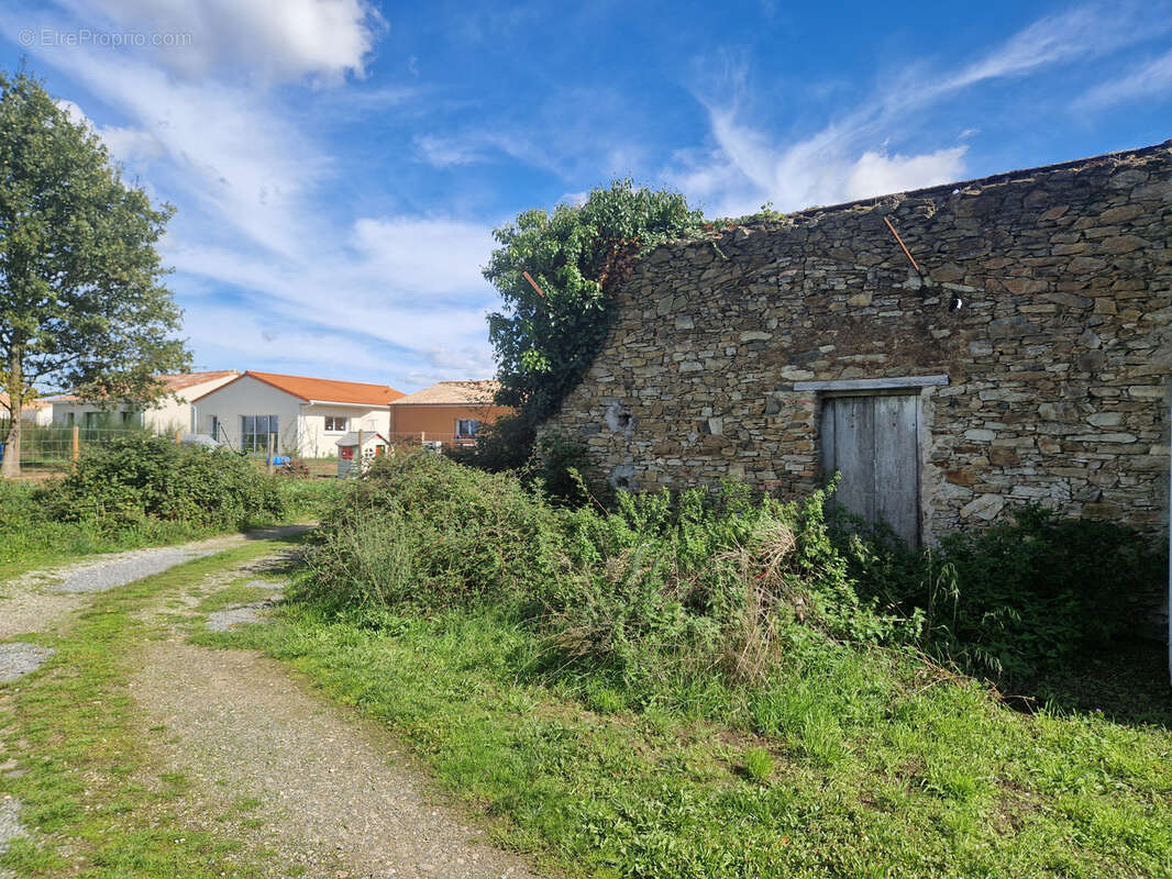 Terrain à SAINT-PHILBERT-DE-BOUAINE