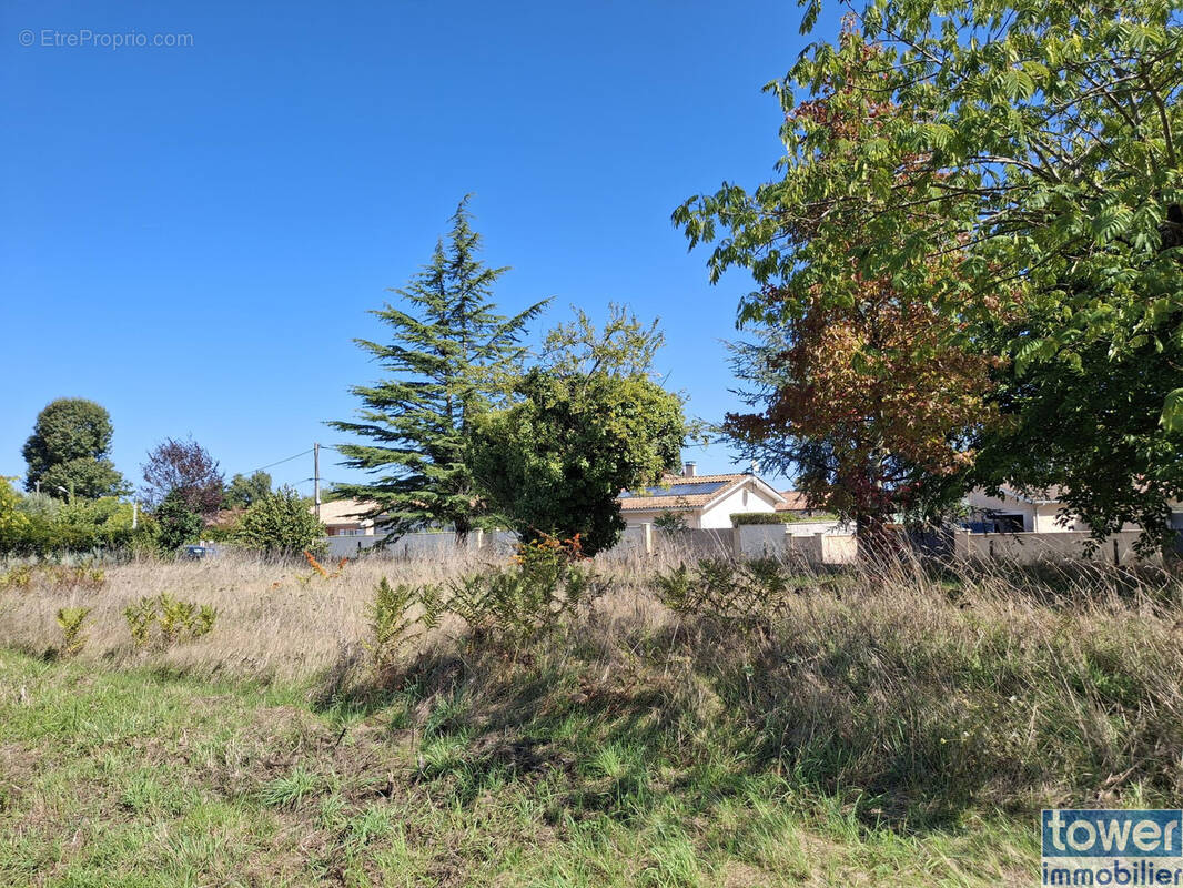 Terrain à LUDON-MEDOC