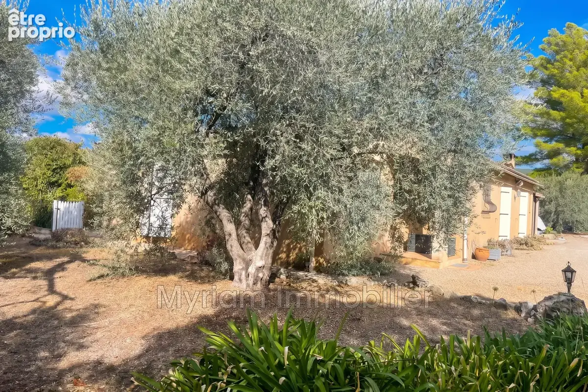 Maison 6 pièces 154 m² à vendre à Peymeinade (06530) - photo 7