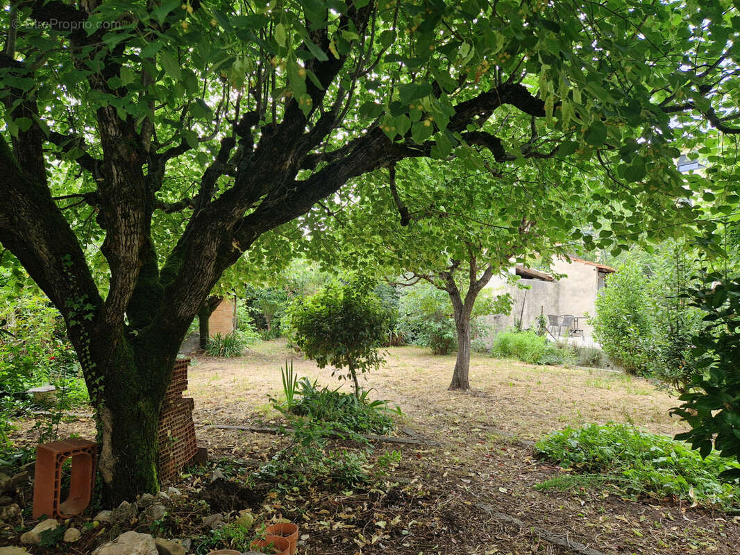 Maison à BUIS-LES-BARONNIES