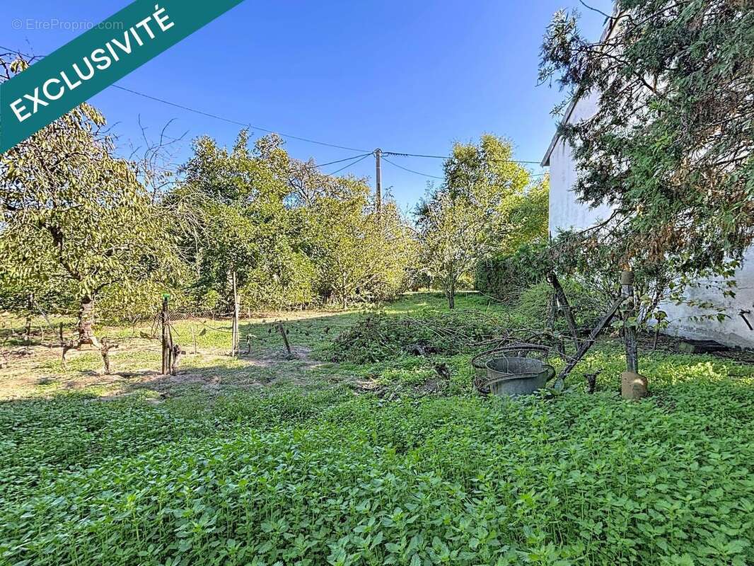 Photo 8 - Maison à LAVAUR