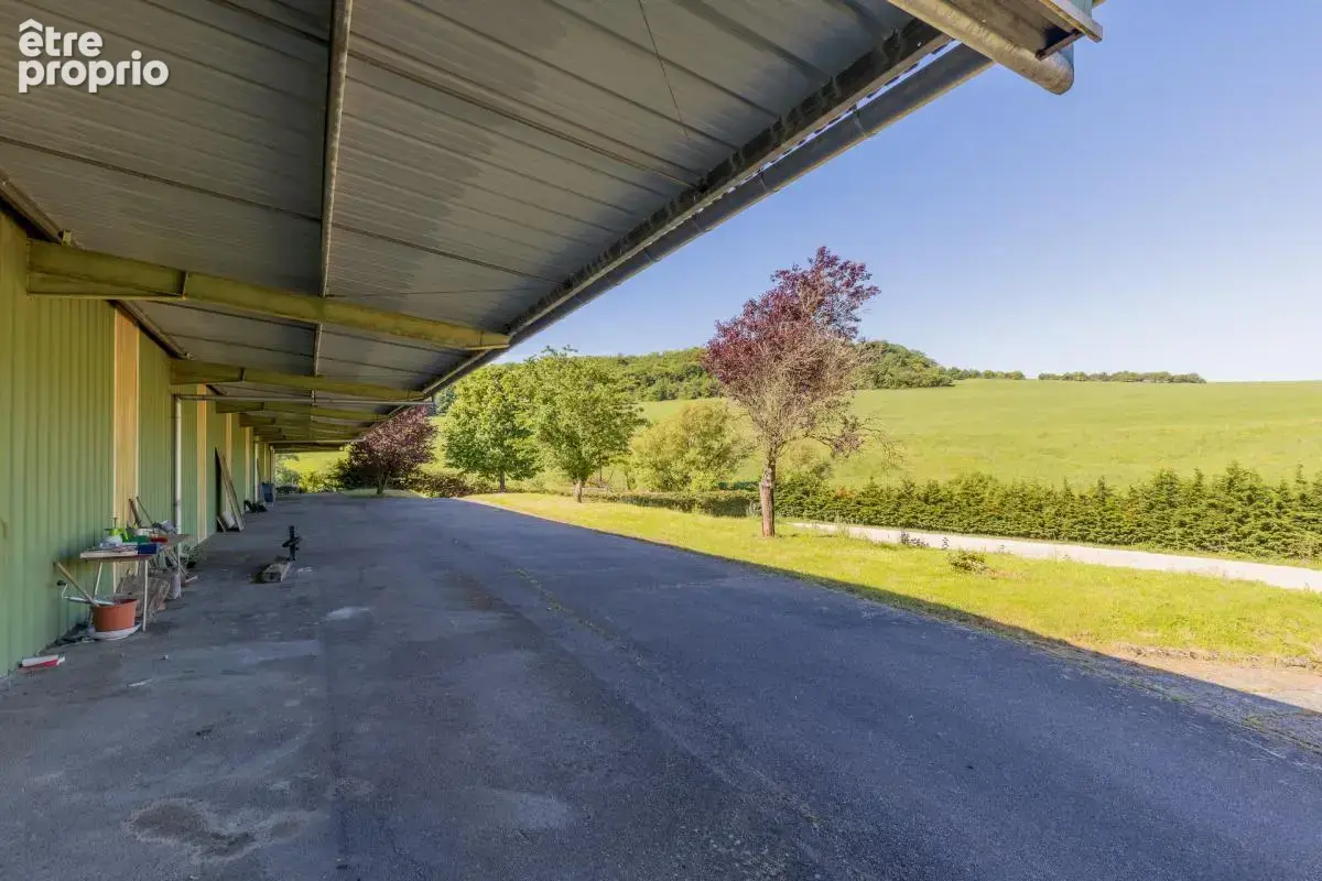 Domaine equestre - boxes-manege-carriere-appartement - photo 25