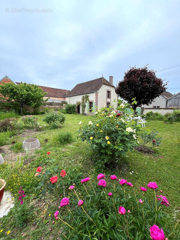 Maison à SENS