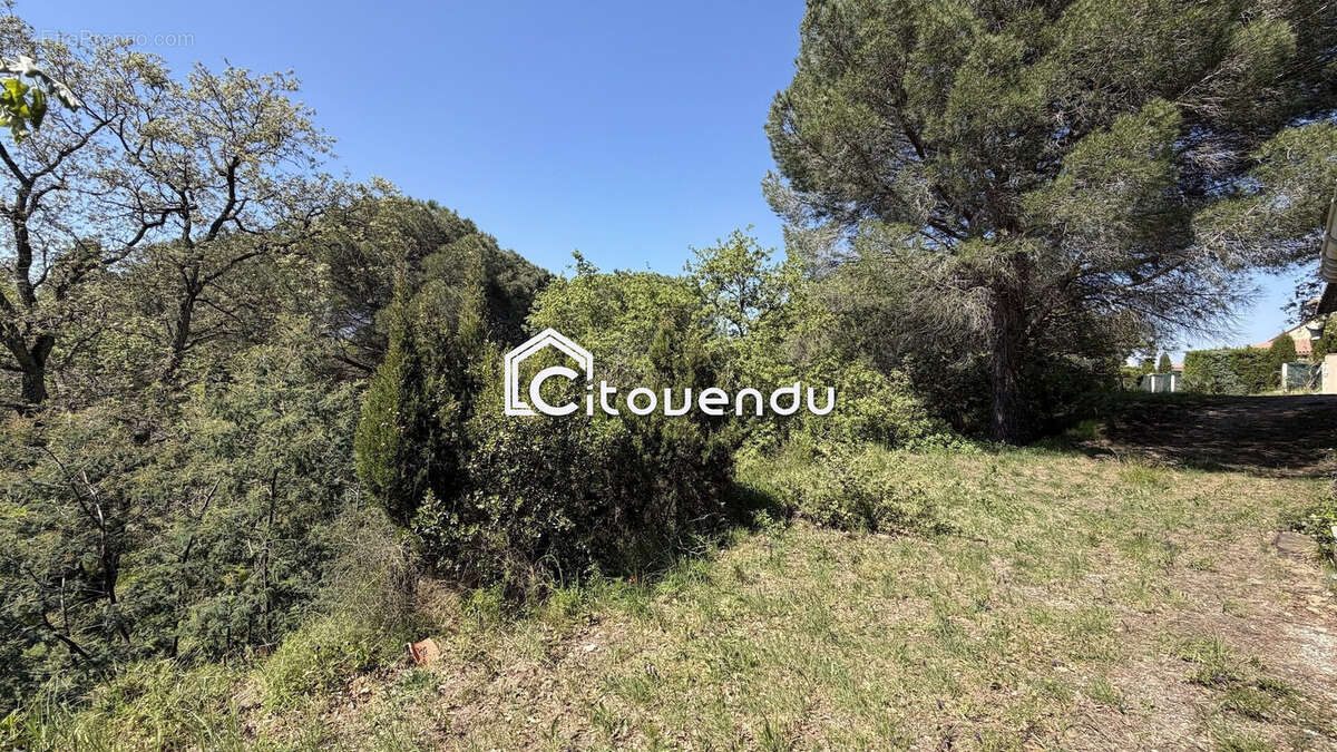 Terrain à MONTESQUIEU-DES-ALBERES