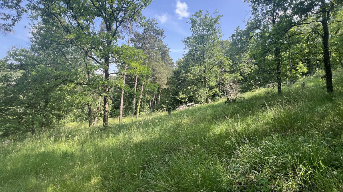 Maison à BOUTIGNY-SUR-ESSONNE