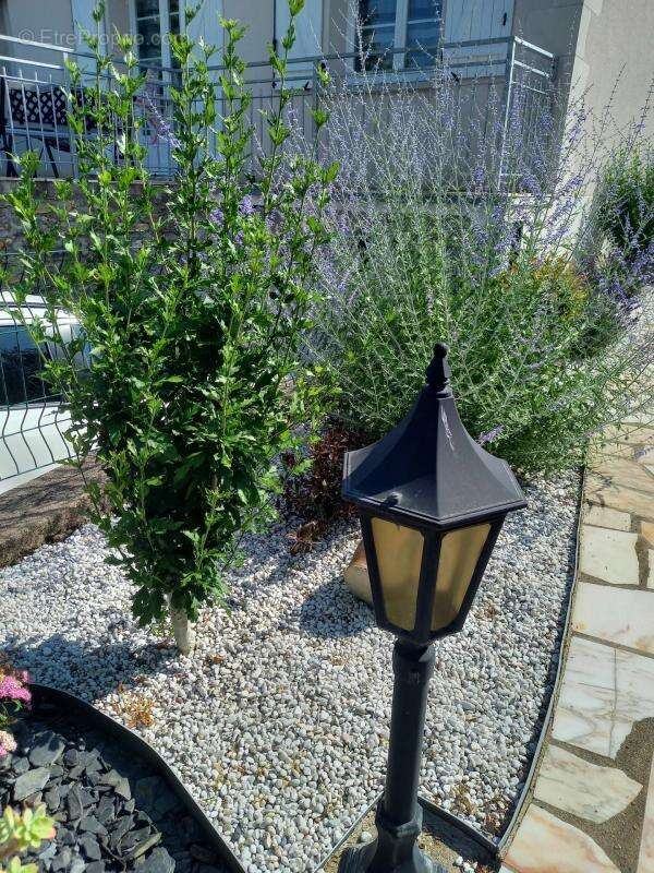 Maison à LA MEMBROLLE-SUR-CHOISILLE