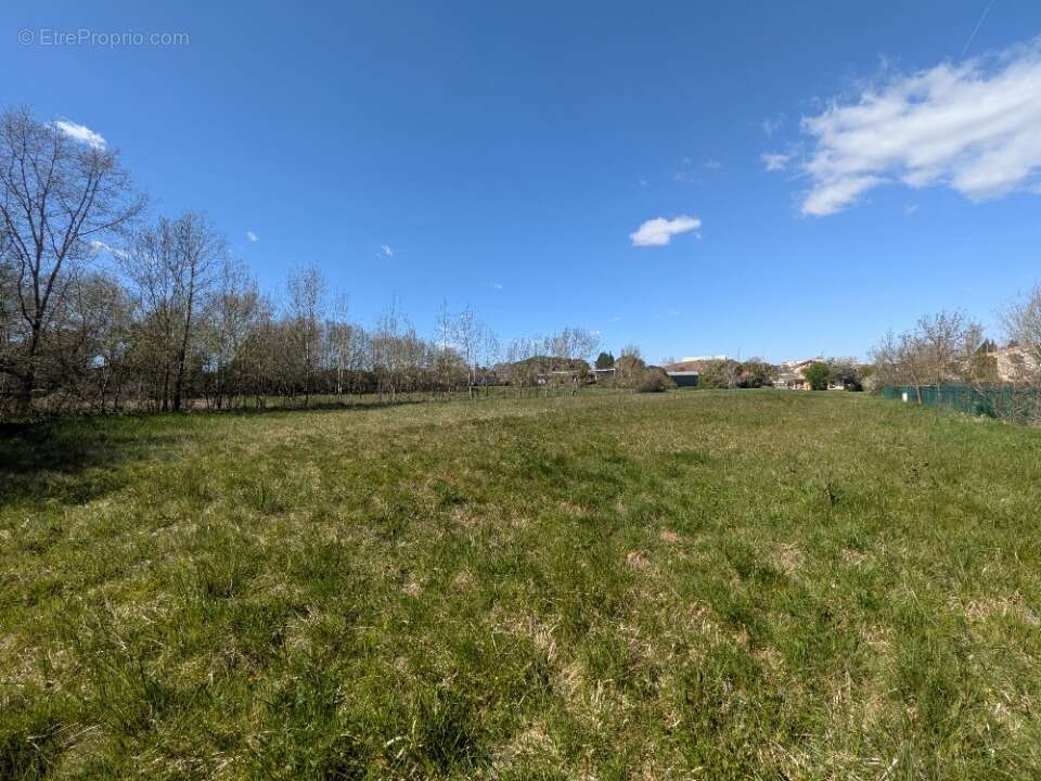 Terrain 1670 m² à Rieumes  - photo 3