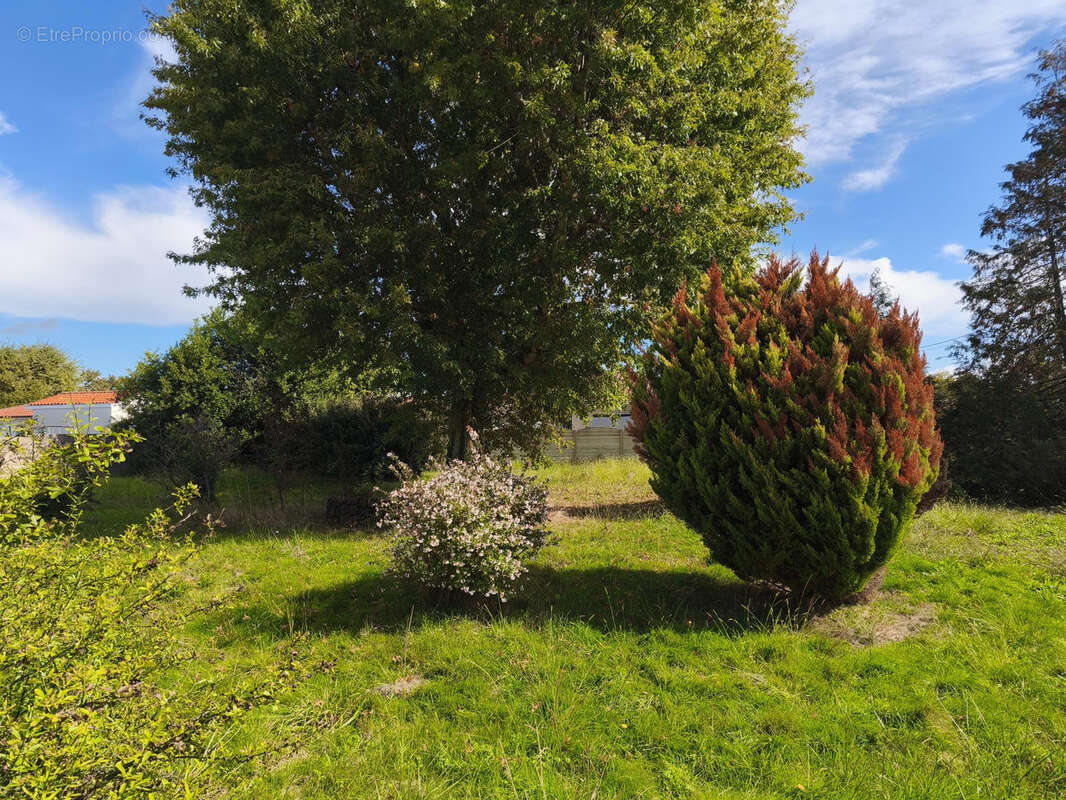 Maison à BISCARROSSE