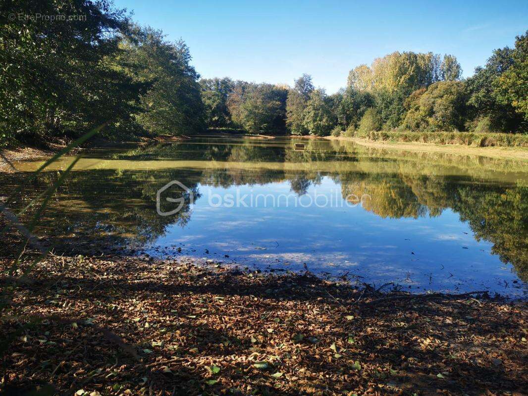 Terrain à SAINT-SAUVEUR-EN-PUISAYE