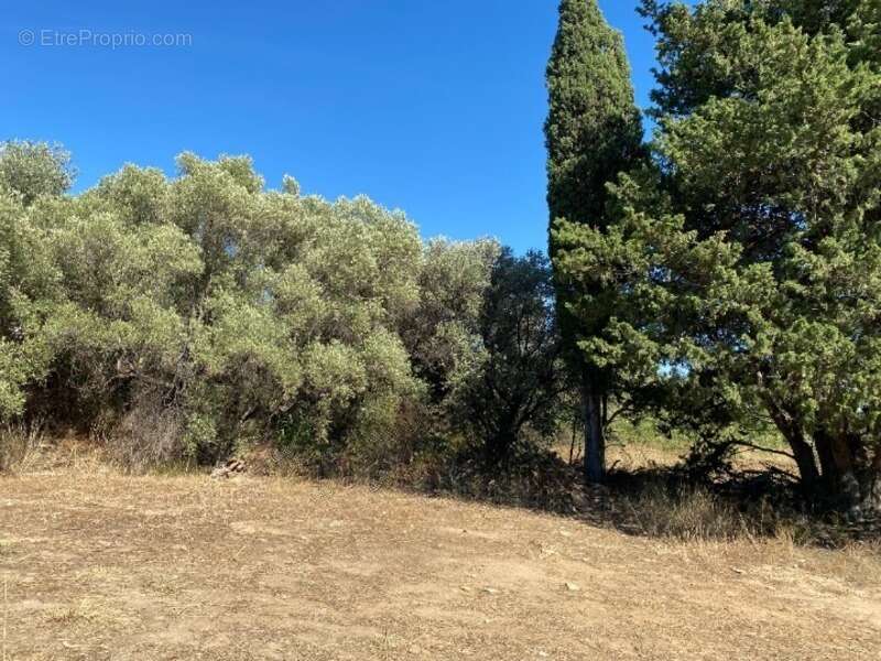 Terrain à LA CIOTAT