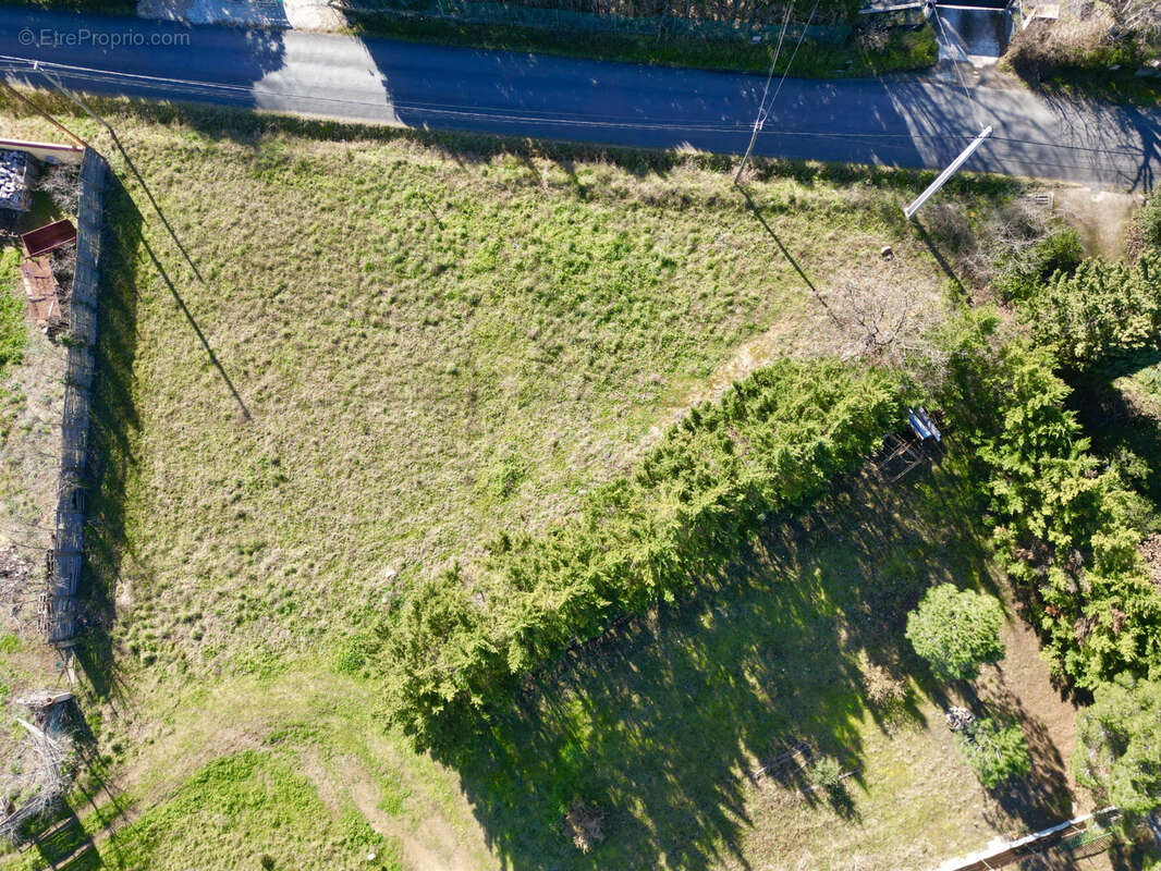 Terrain à LAROQUE-DES-ALBERES
