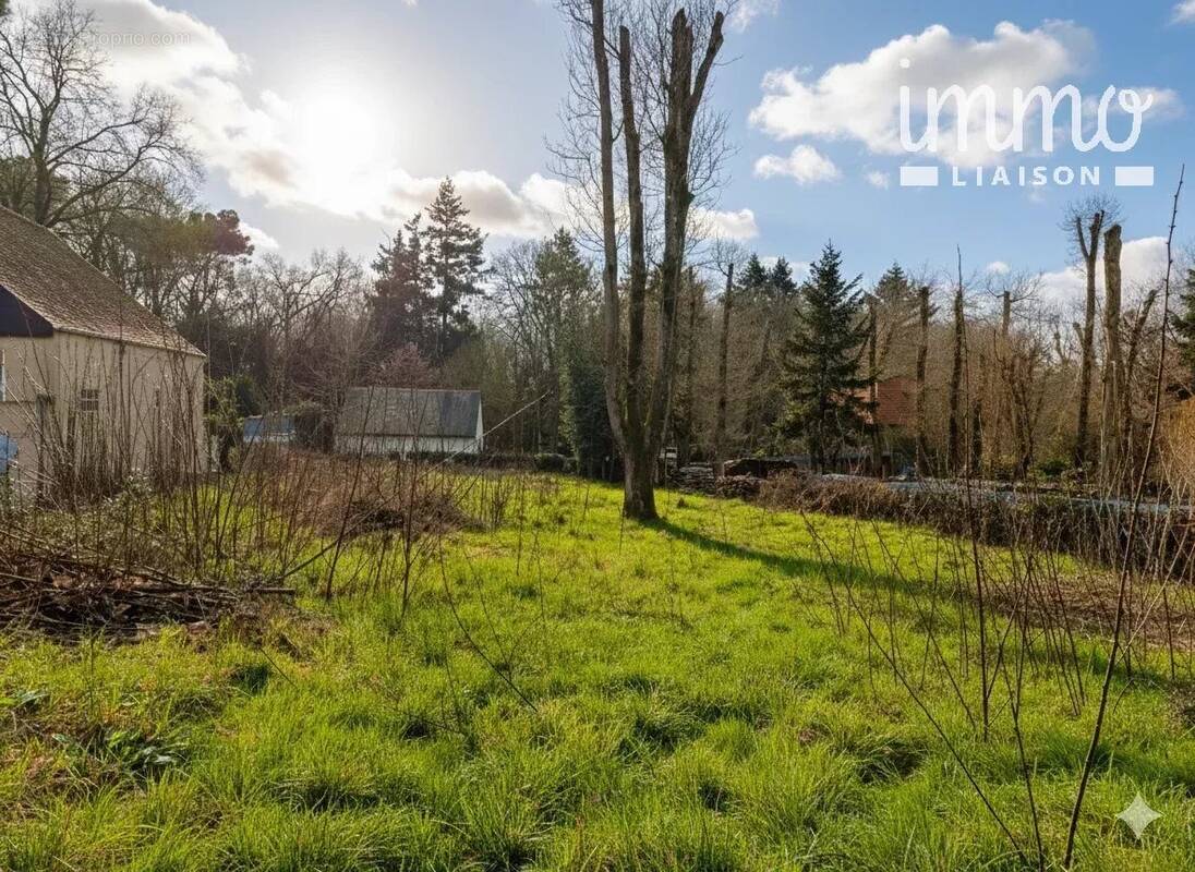 Terrain à LES BRULAIS