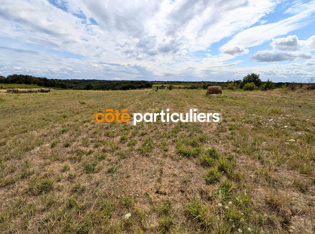 Terrain à L'HONOR-DE-COS