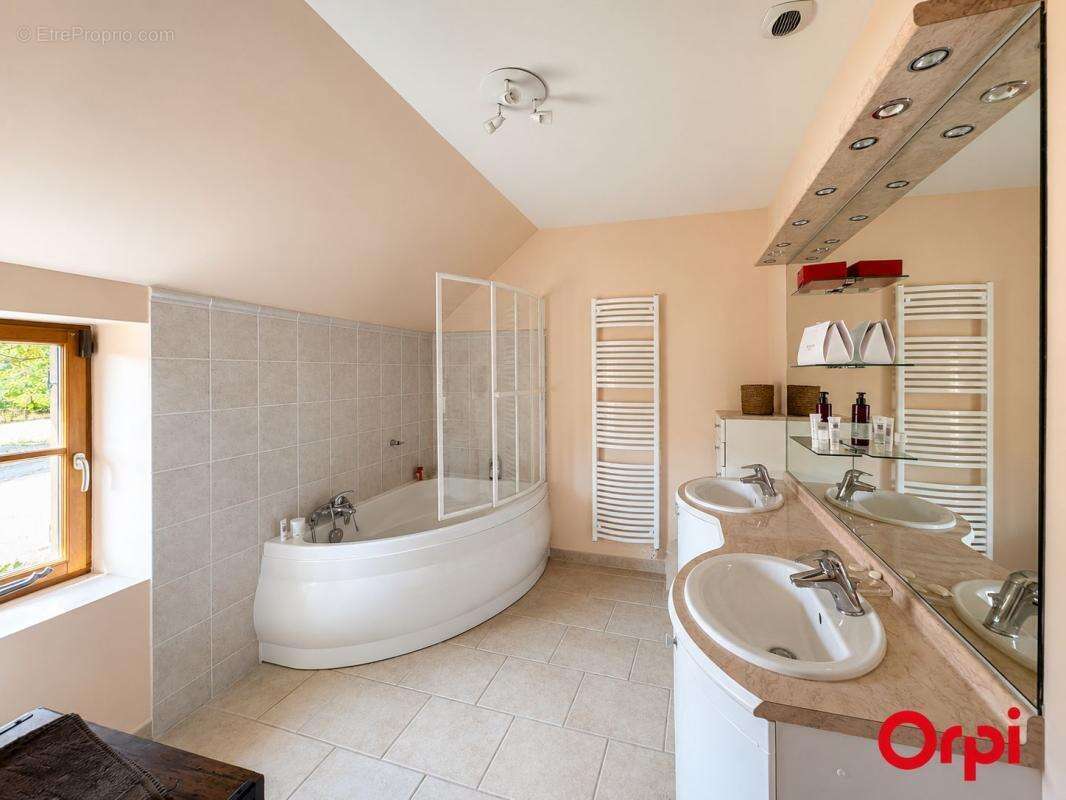 Maison et maison d’amis sur plus de 12 hectares avec étang et cours d’eau – cadre naturel exceptionnel et calme absolu - photo 5