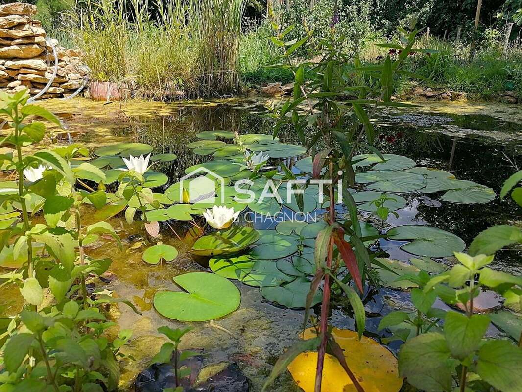 Photo 6 - Maison à CHAILLE-LES-MARAIS