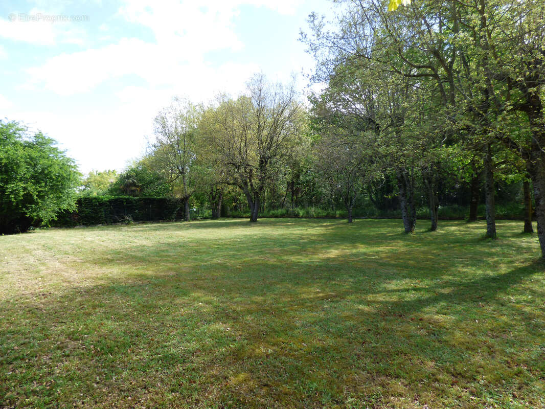 Maison à FONTENILLES