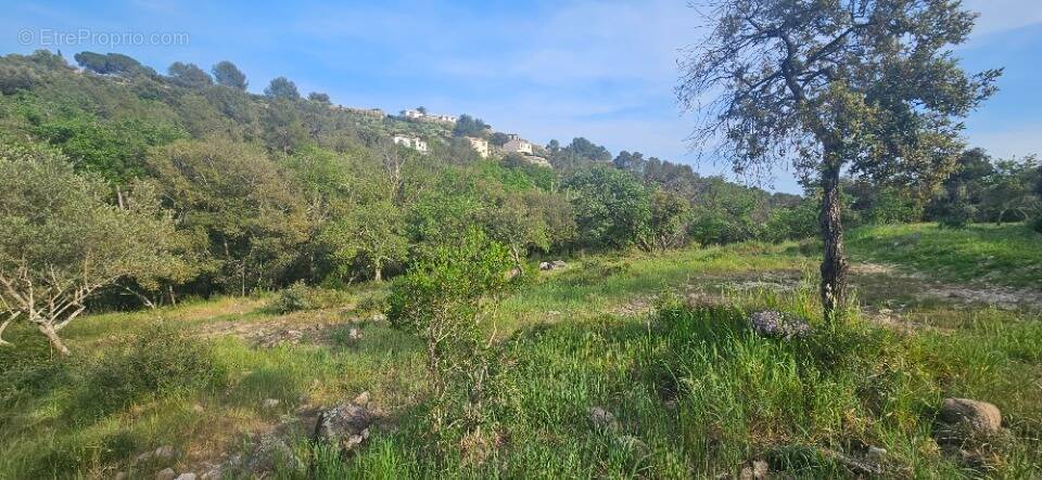 Terrain à ROQUEFORT-LES-PINS