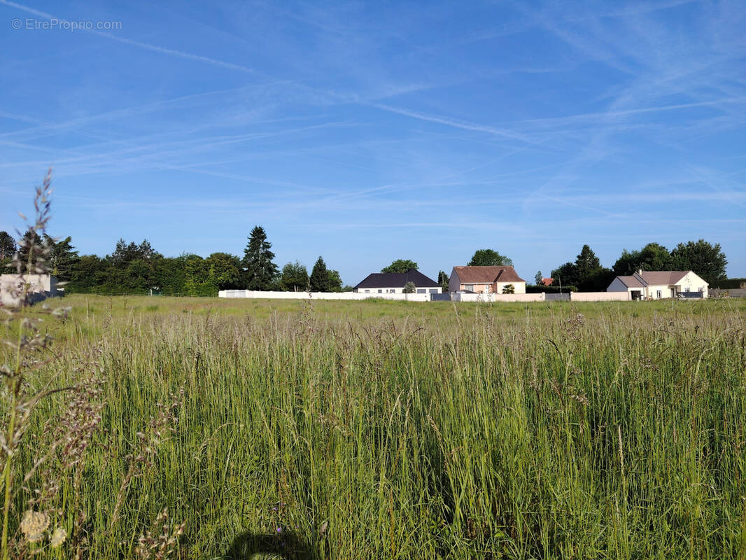 Terrain à PONT-SUR-YONNE