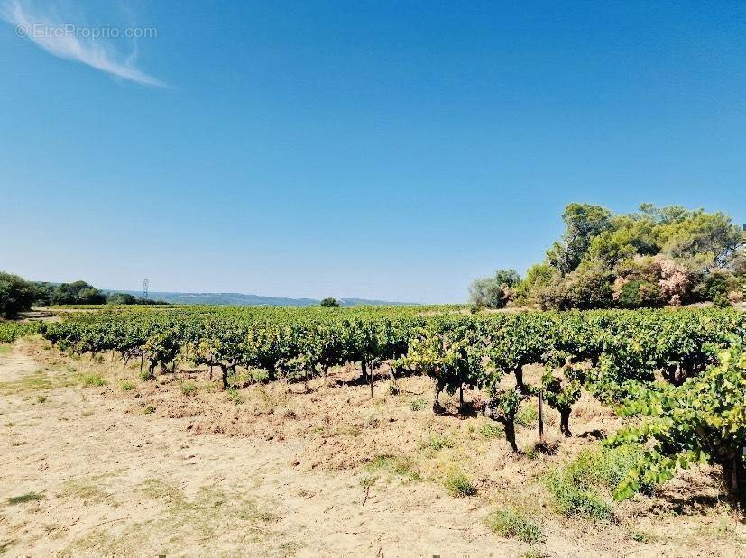 Maison à GOUDARGUES