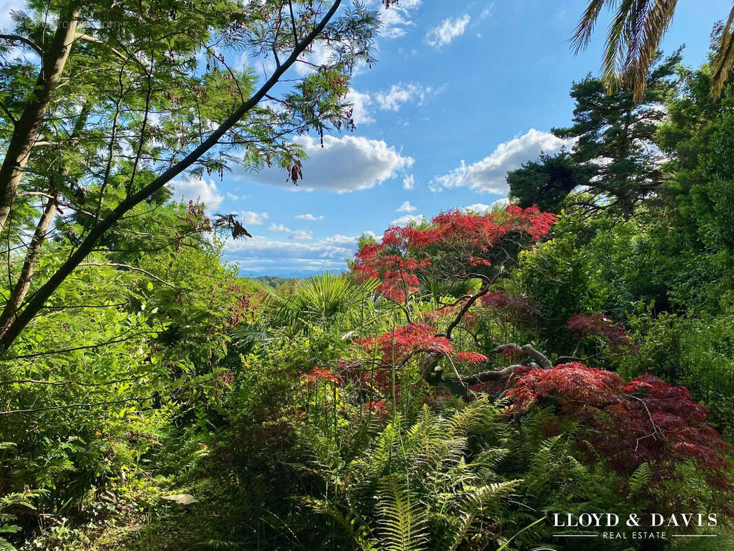 Maison à SALIES-DE-BEARN