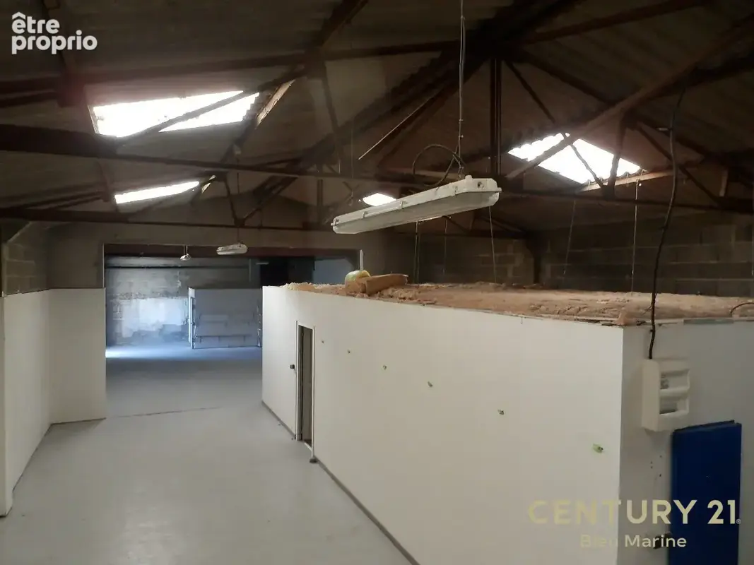 Commerce 600 m² à vendre à Sallertaine (85300) - photo 6