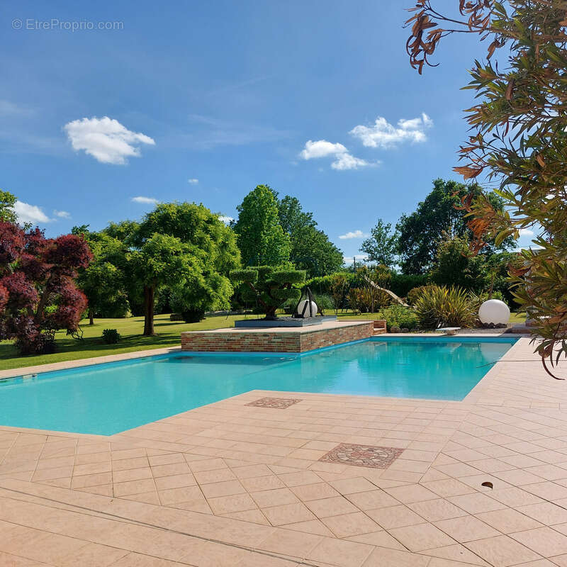 Maison à vendre 13 pièces MONTAUBAN (82), salle de reception, parking, bureaux, cave, dépendances,  parc de 8000m2, 2 entrées in - photo 10