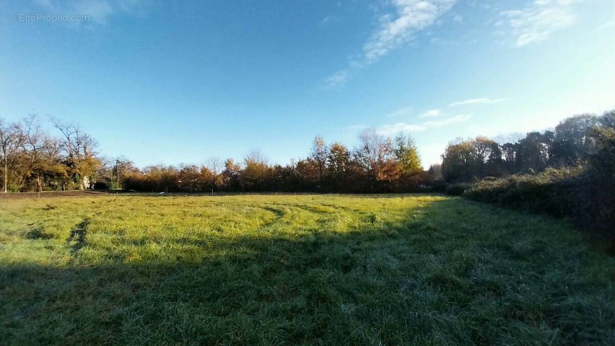 Terrain à SAINT-ASTIER