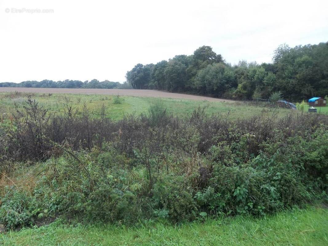 Terrain à SOIZY-AUX-BOIS