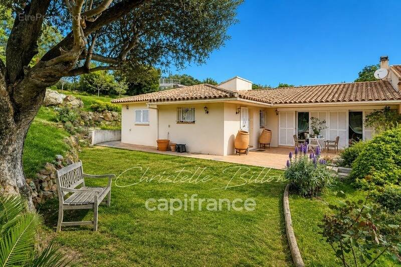 Maison à PORTO-VECCHIO