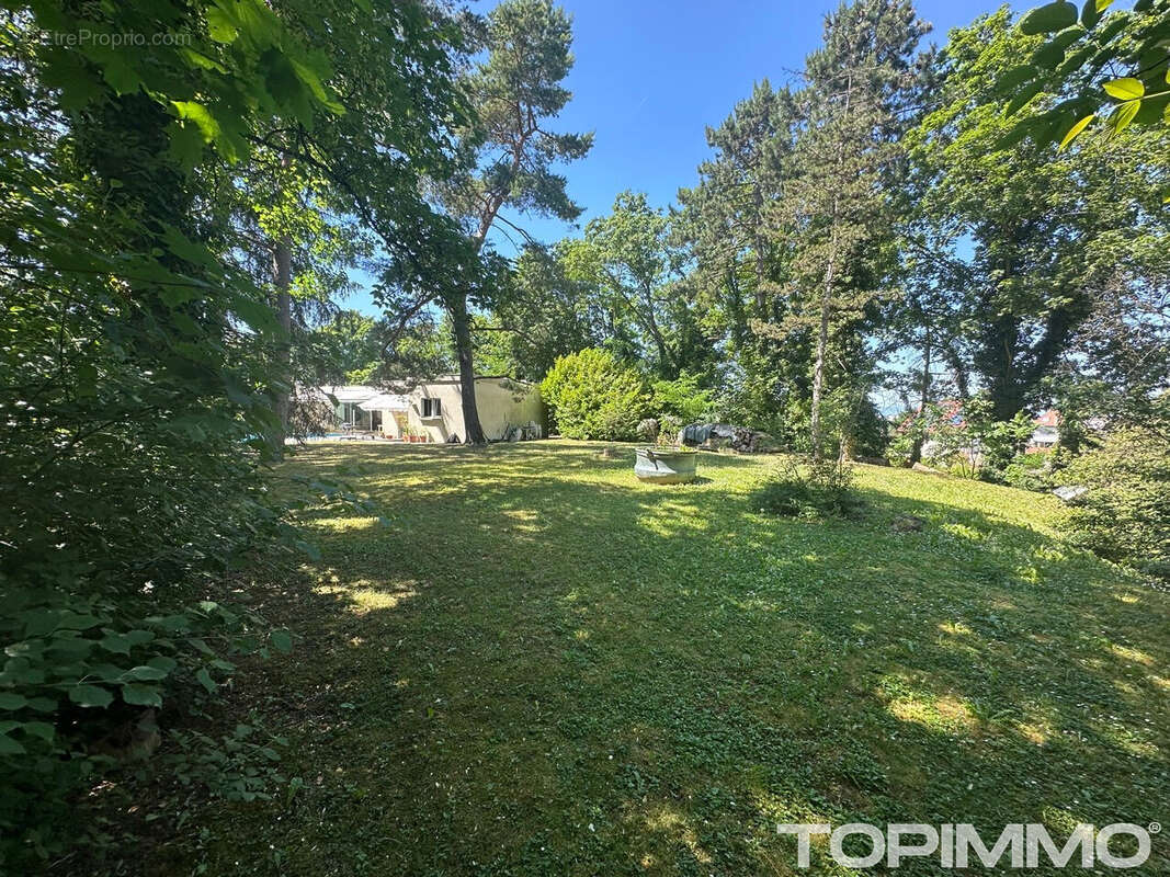 Maison Mulhouse 8 pièce(s) 336 m2 - photo 4