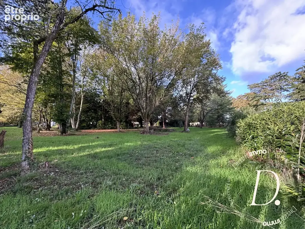 Terrain 2 500 m² à vendre à Taller (40260) - photo 6