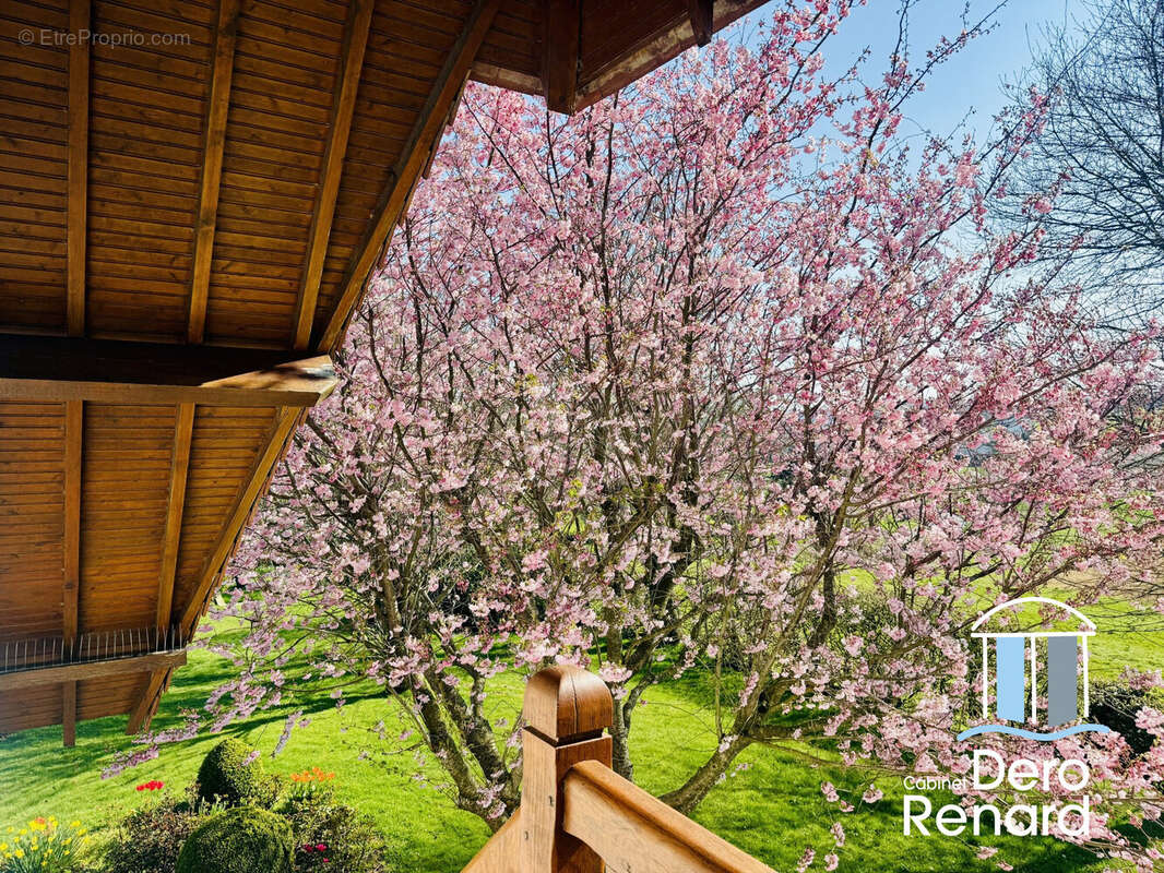 Maison à FONTAINE-LA-MALLET