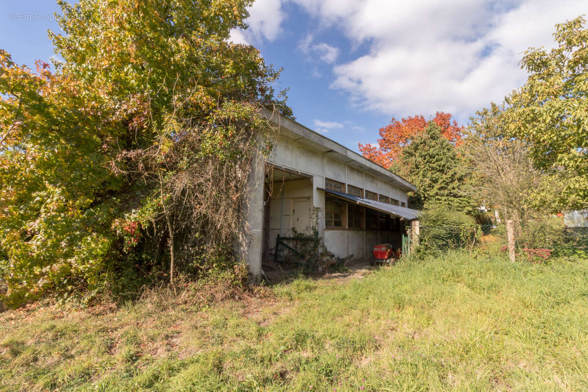 Terrain à SAINT-MEDARD-SUR-ILLE