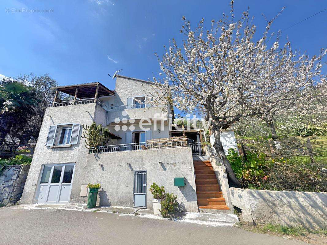 Maison à VELONE-ORNETO