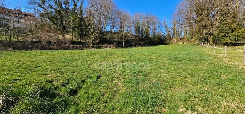 Terrain à ARBOIS